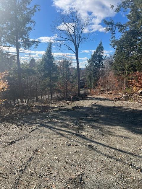 Lot 5 Peterson Road Bowerbank ME 04426