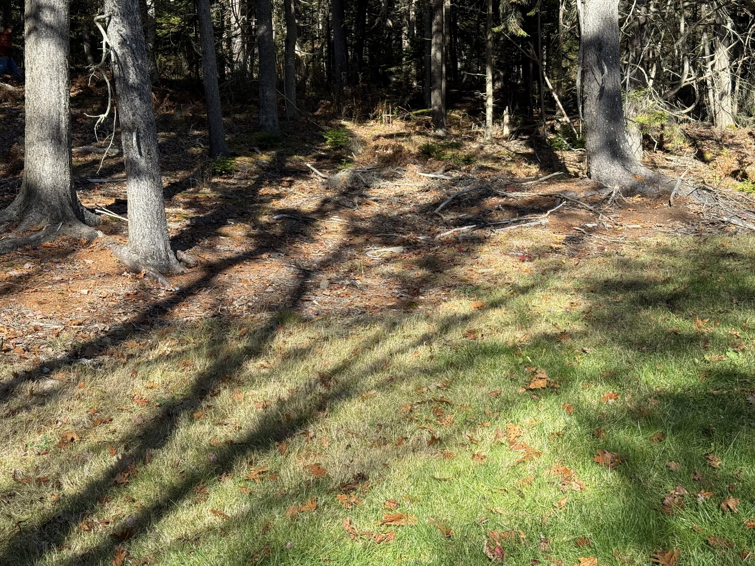 69 Mcfarland Shore Road Bristol ME 04554