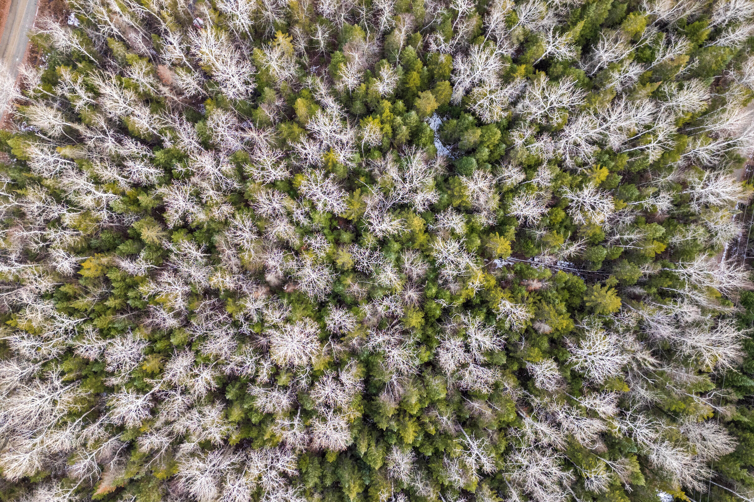 Lot 31,32 Stephens Road Rangeley Plt ME 04970