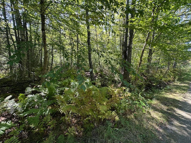 M1L431E-2 Sally Mack Road Frankfort ME 04438