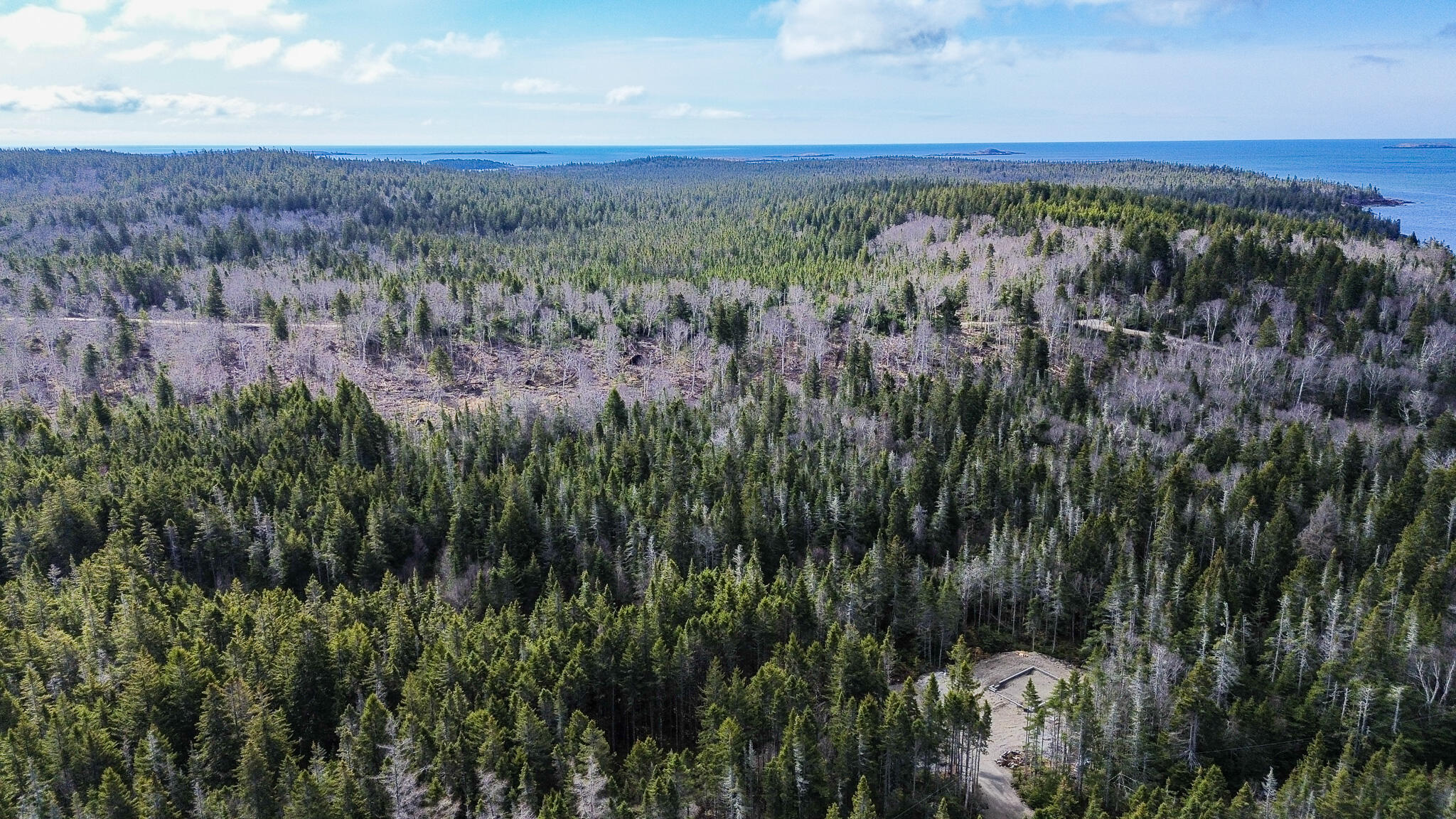 62 Yoho Head Road Machiasport ME 04655