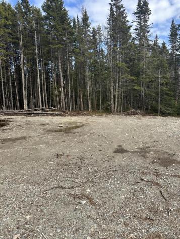 62 Yoho Head Road Machiasport ME 04655