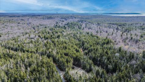 62 Yoho Head Road Machiasport ME 04655