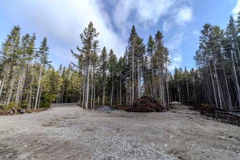 62 Yoho Head Road Machiasport ME 04655