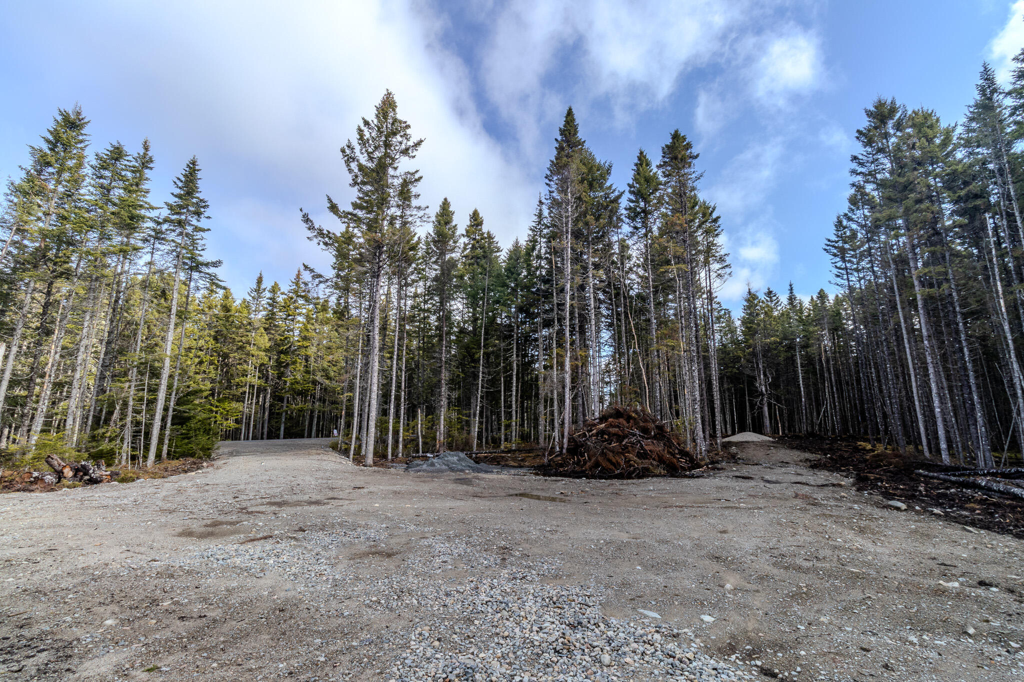 62 Yoho Head Road Machiasport ME 04655