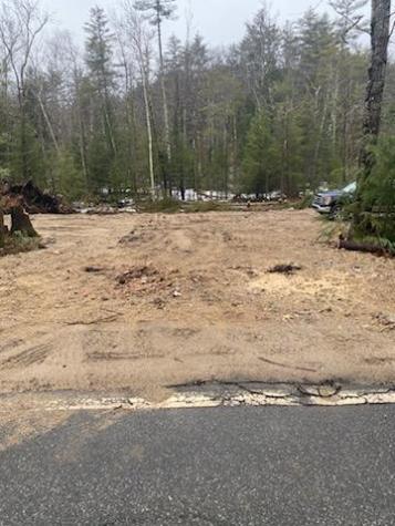 Lot 1 Moulton Hill Road Parsonsfield ME 04047