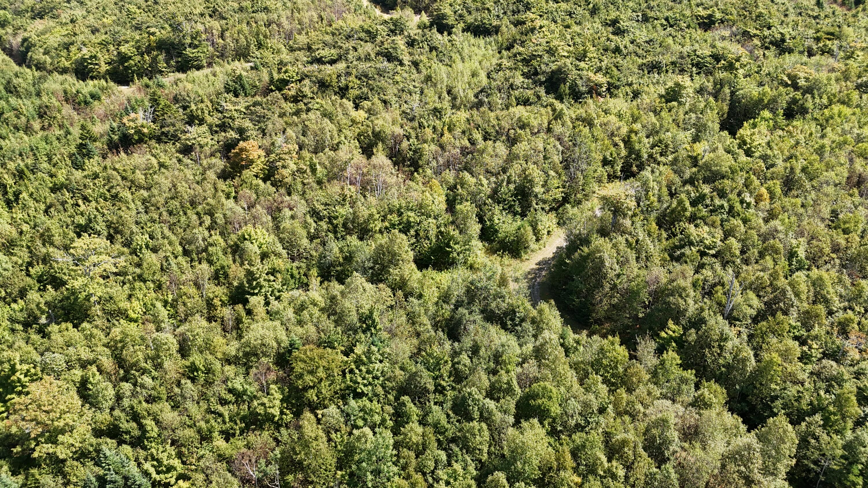 Lot 7 Blair Hill Road Greenville ME 04441