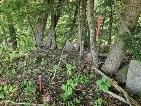 Mr04 L10-a Route 133 Farmington ME 04938