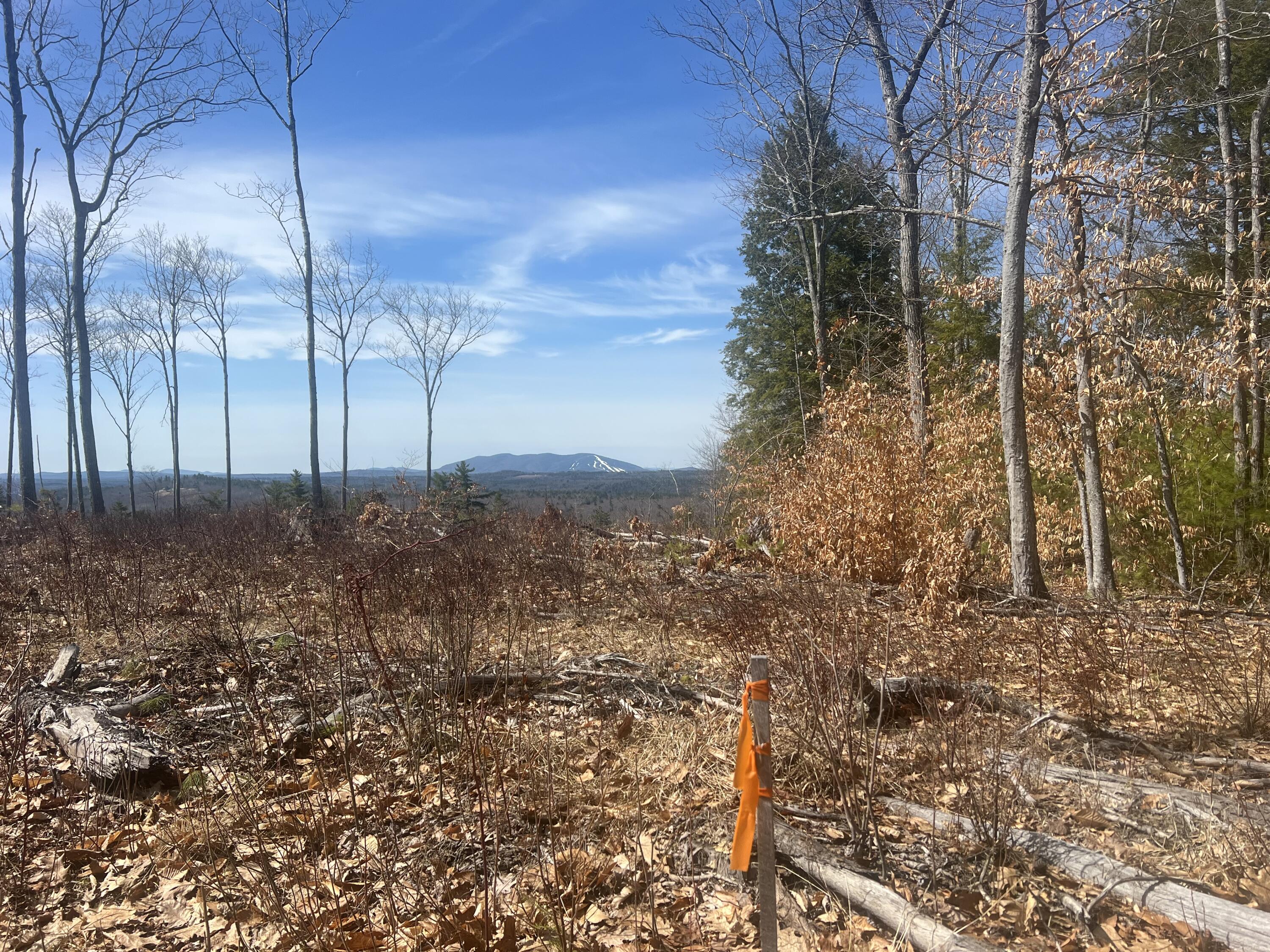 Tbd Deer Hill Road Harrison ME 04040