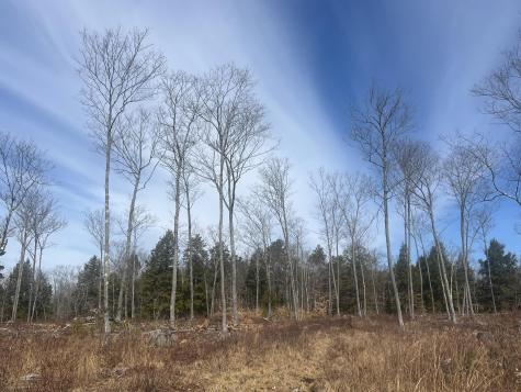 Tbd Deer Hill Road Harrison ME 04040