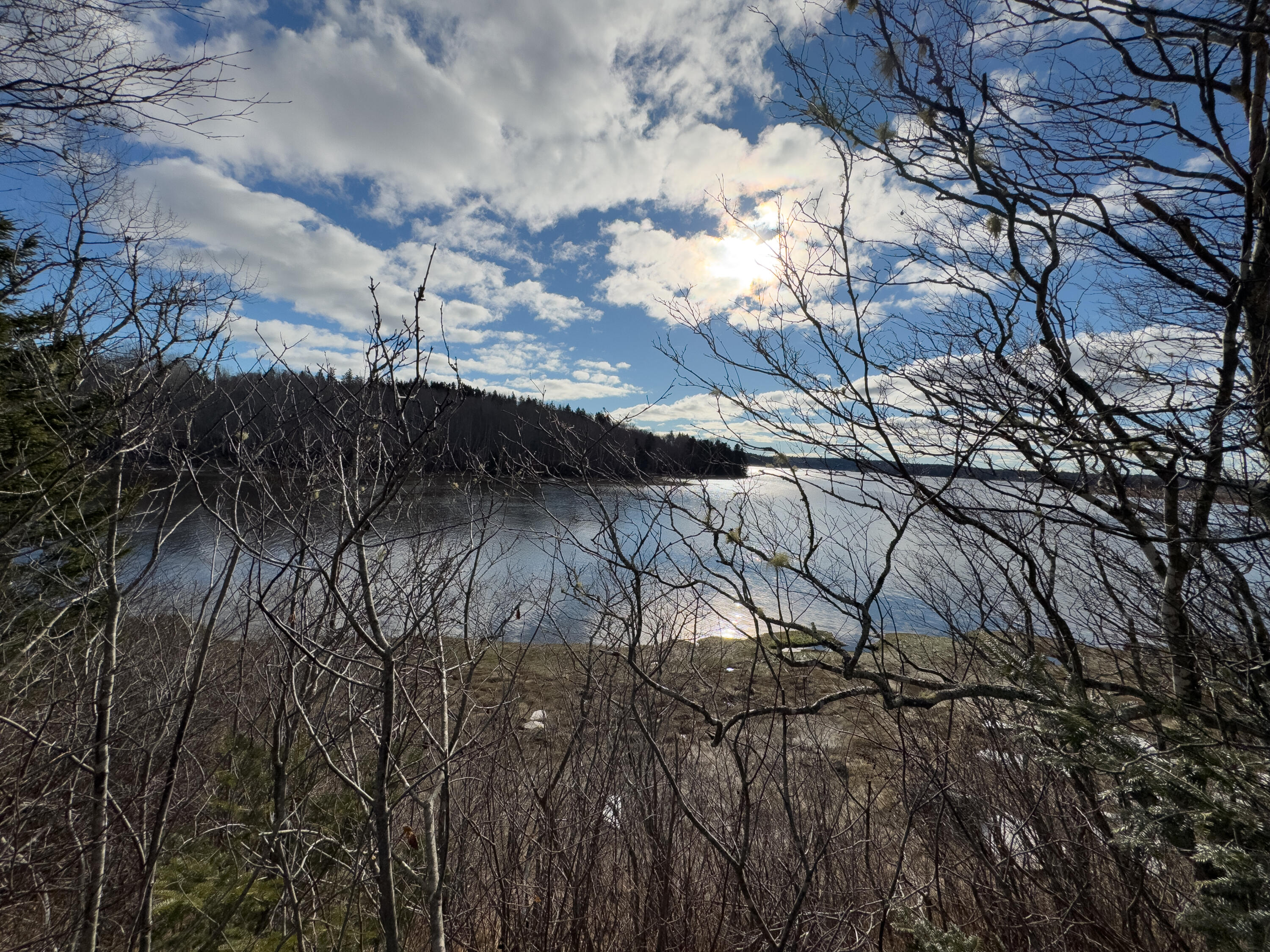 379 Cutler Road Machiasport ME 04655