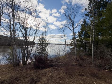 379 Cutler Road Machiasport ME 04655