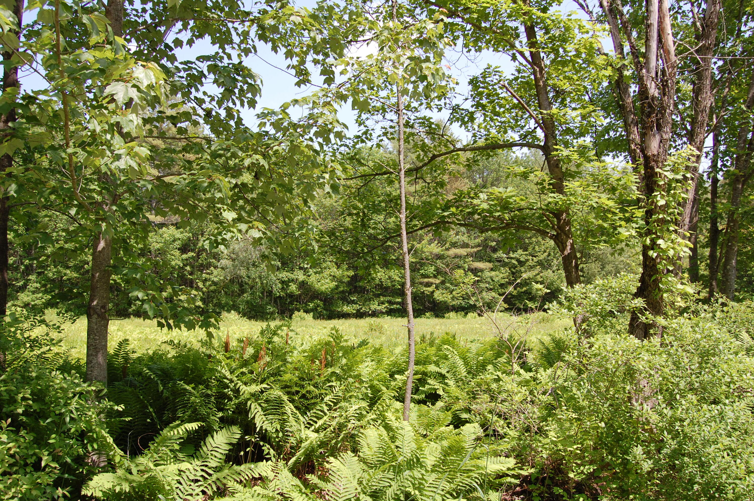 0 New Gloucester Road North Yarmouth ME 04097