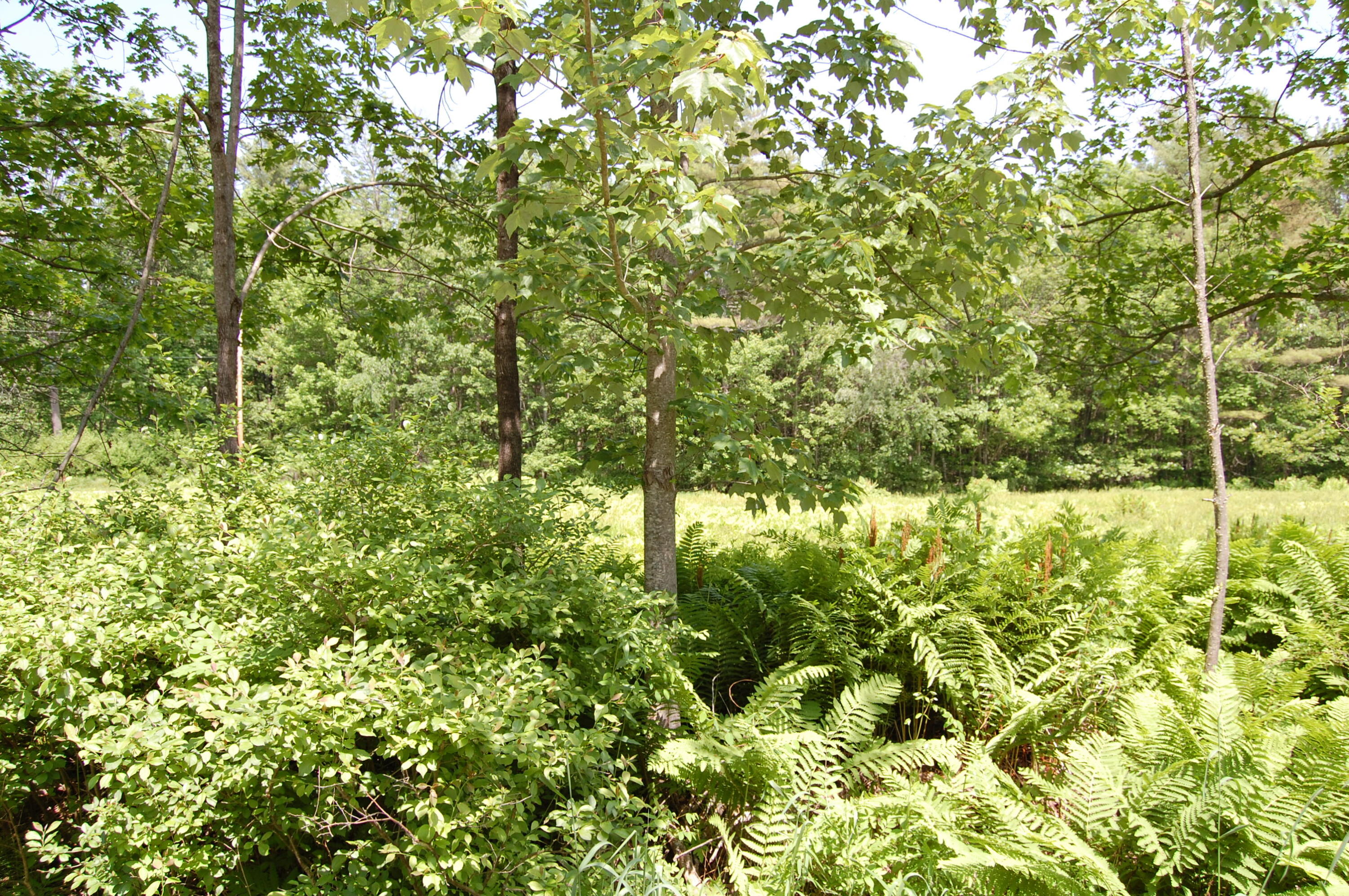 0 New Gloucester Road North Yarmouth ME 04097