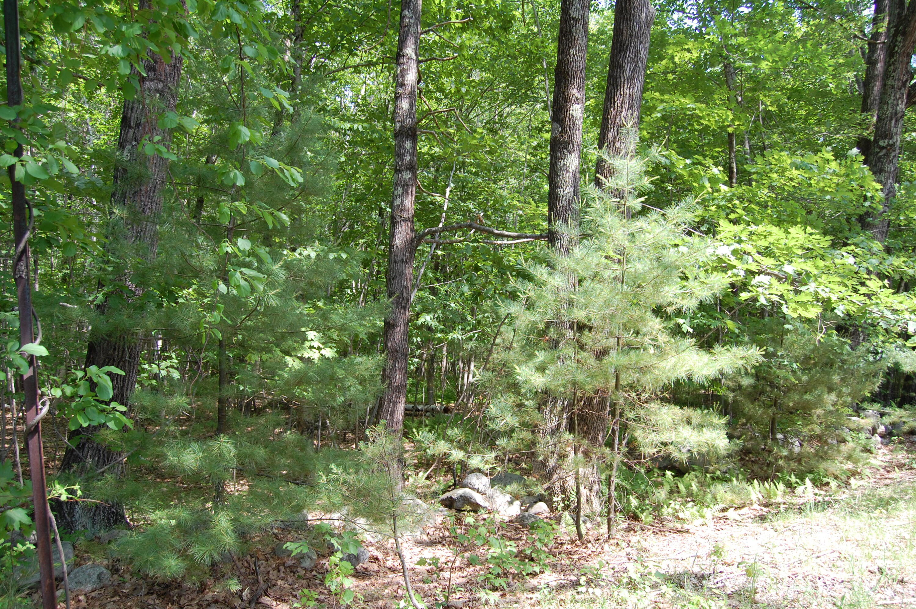 0 New Gloucester Road North Yarmouth ME 04097