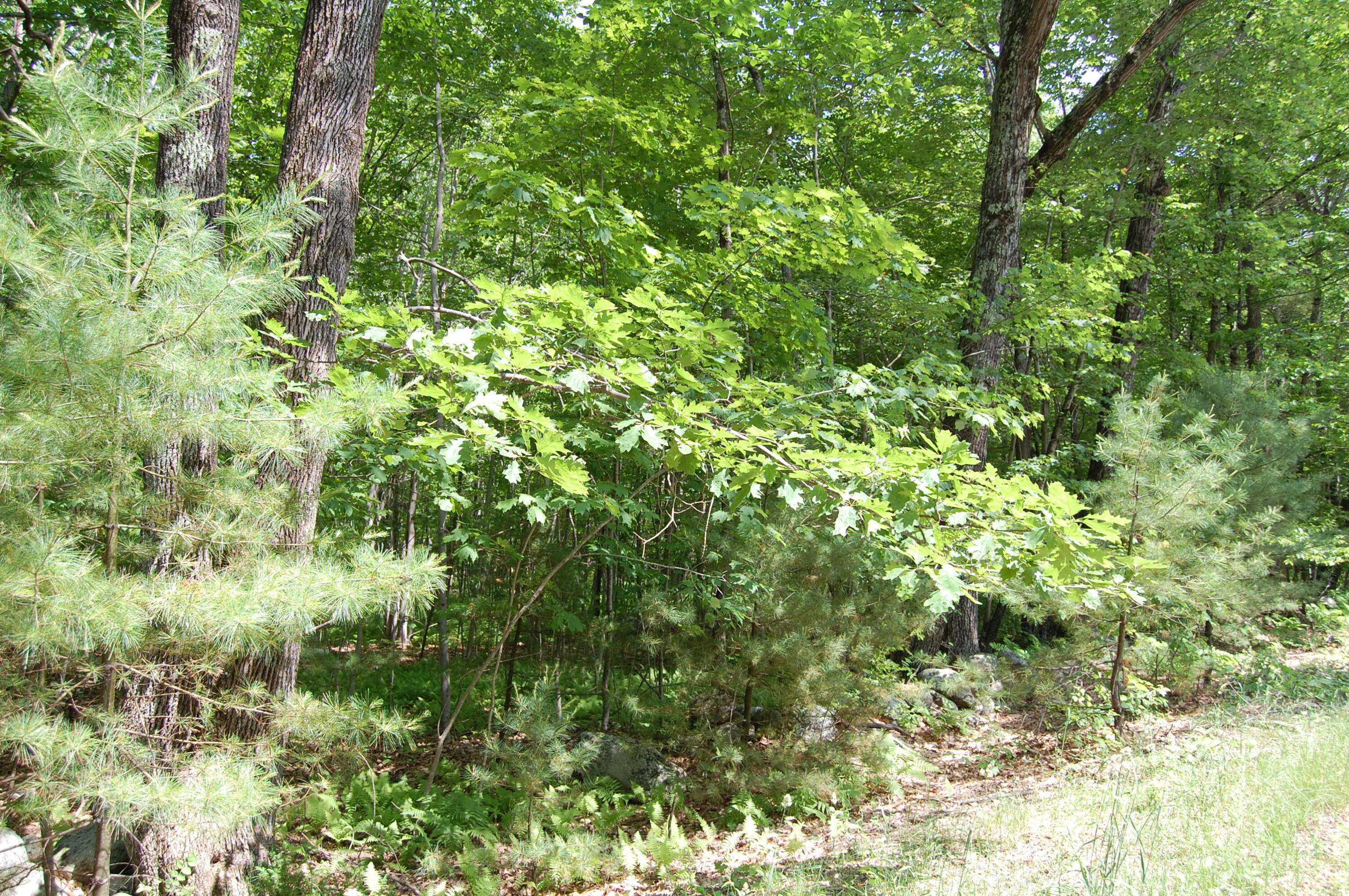 0 New Gloucester Road North Yarmouth ME 04097