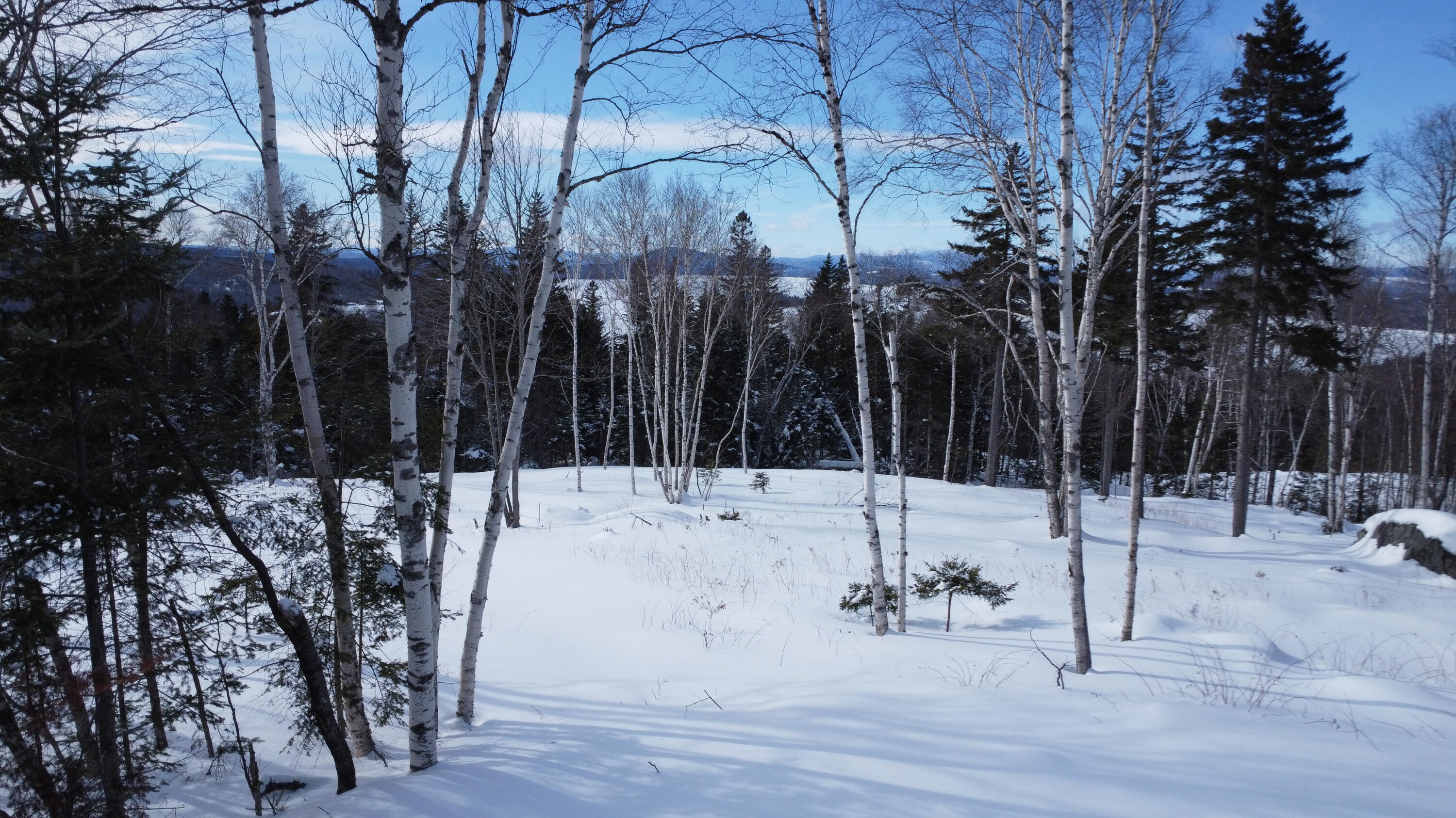 M13/L37 Barbara Lane Sandy River Plt ME 04970