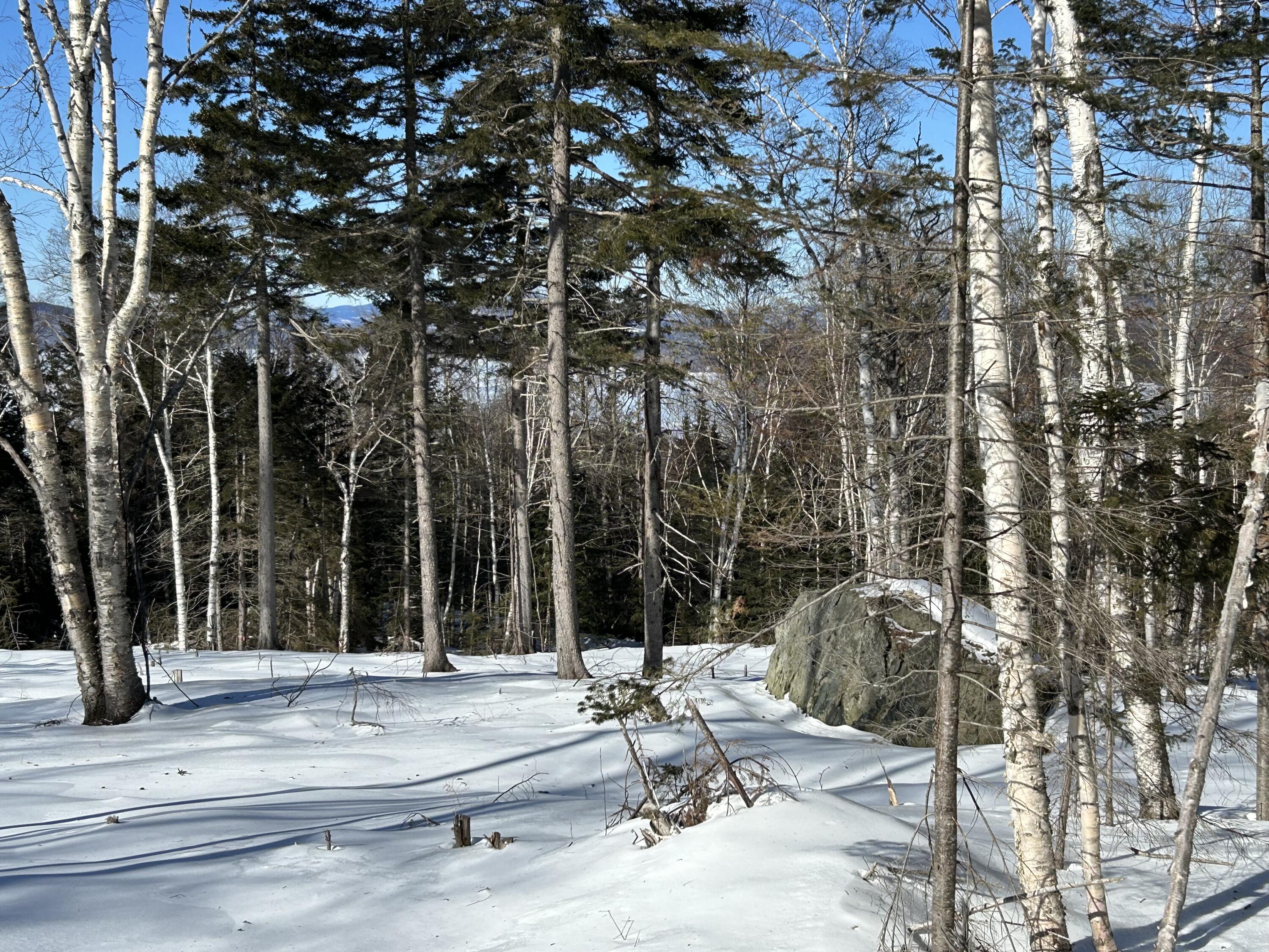 M13/L37 Barbara Lane Sandy River Plt ME 04970