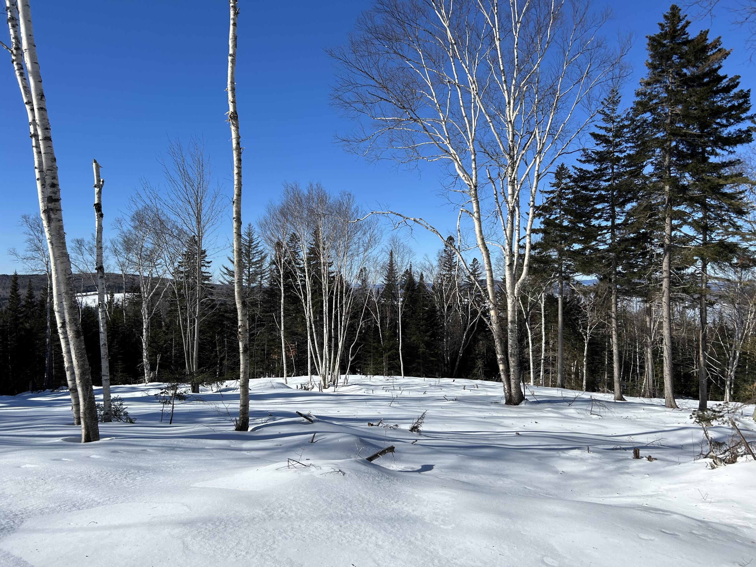 M13/L37 Barbara Lane Sandy River Plt ME 04970