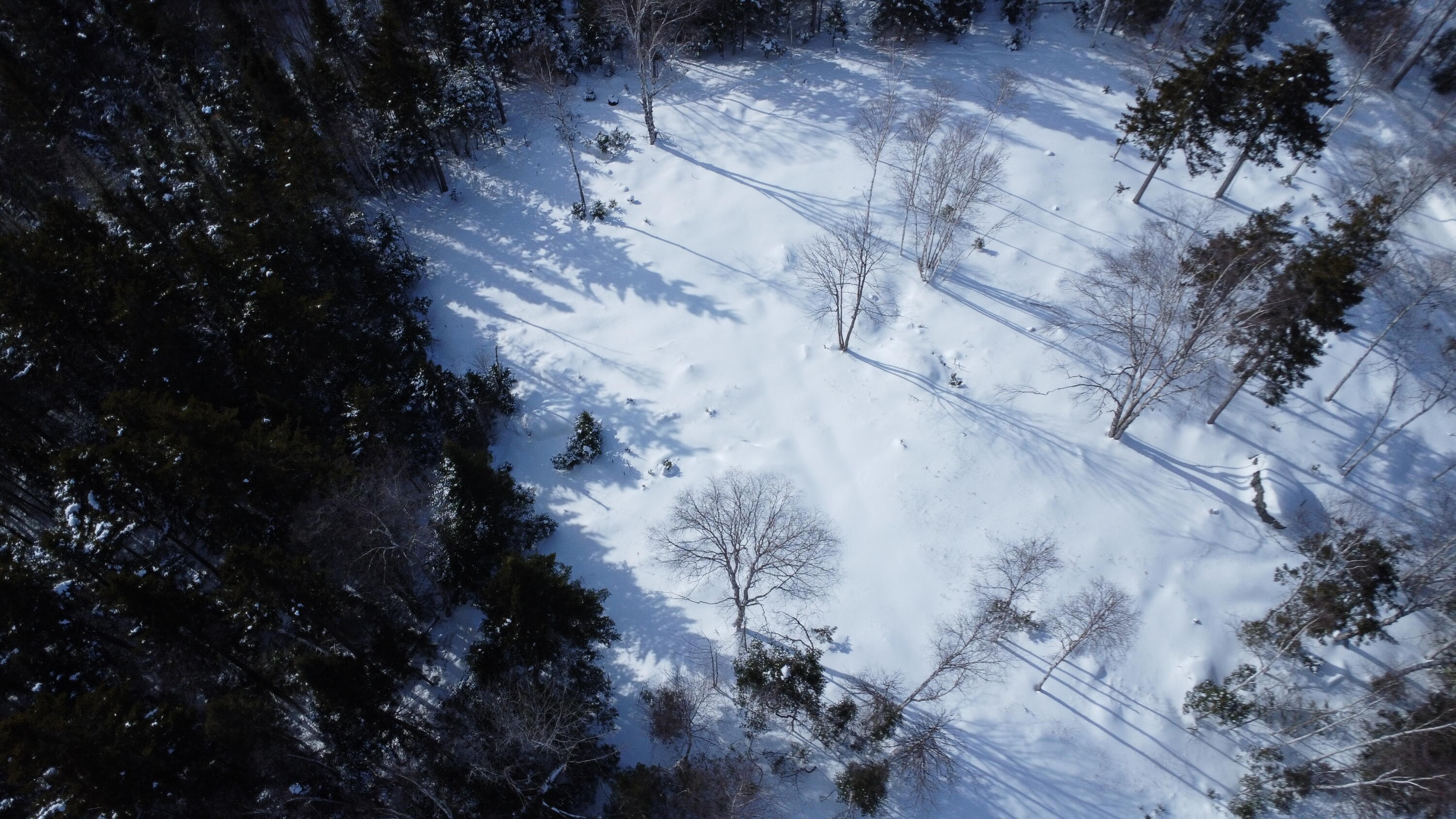 M13/L37 Barbara Lane Sandy River Plt ME 04970