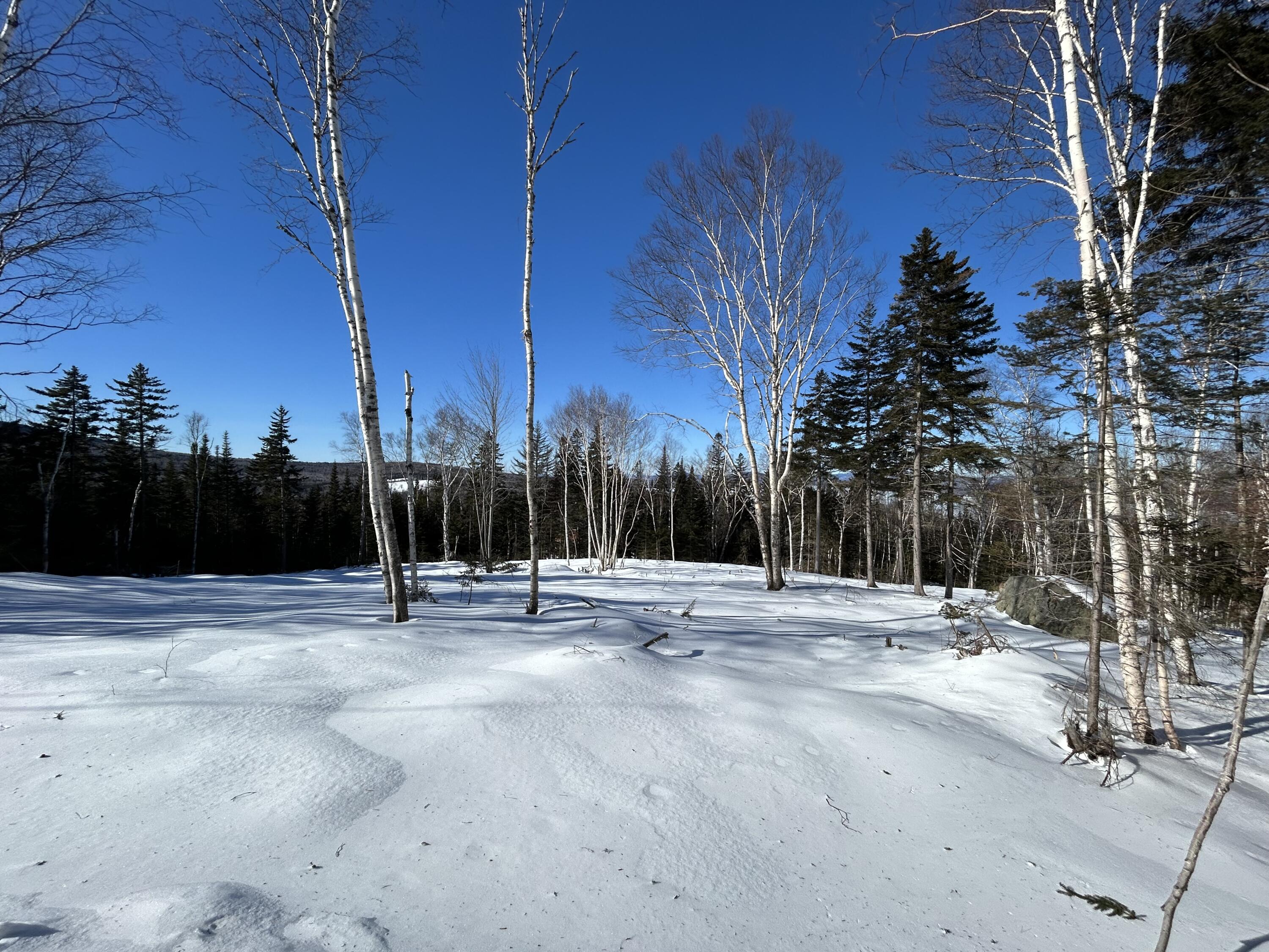 M13/L37 Barbara Lane Sandy River Plt ME 04970