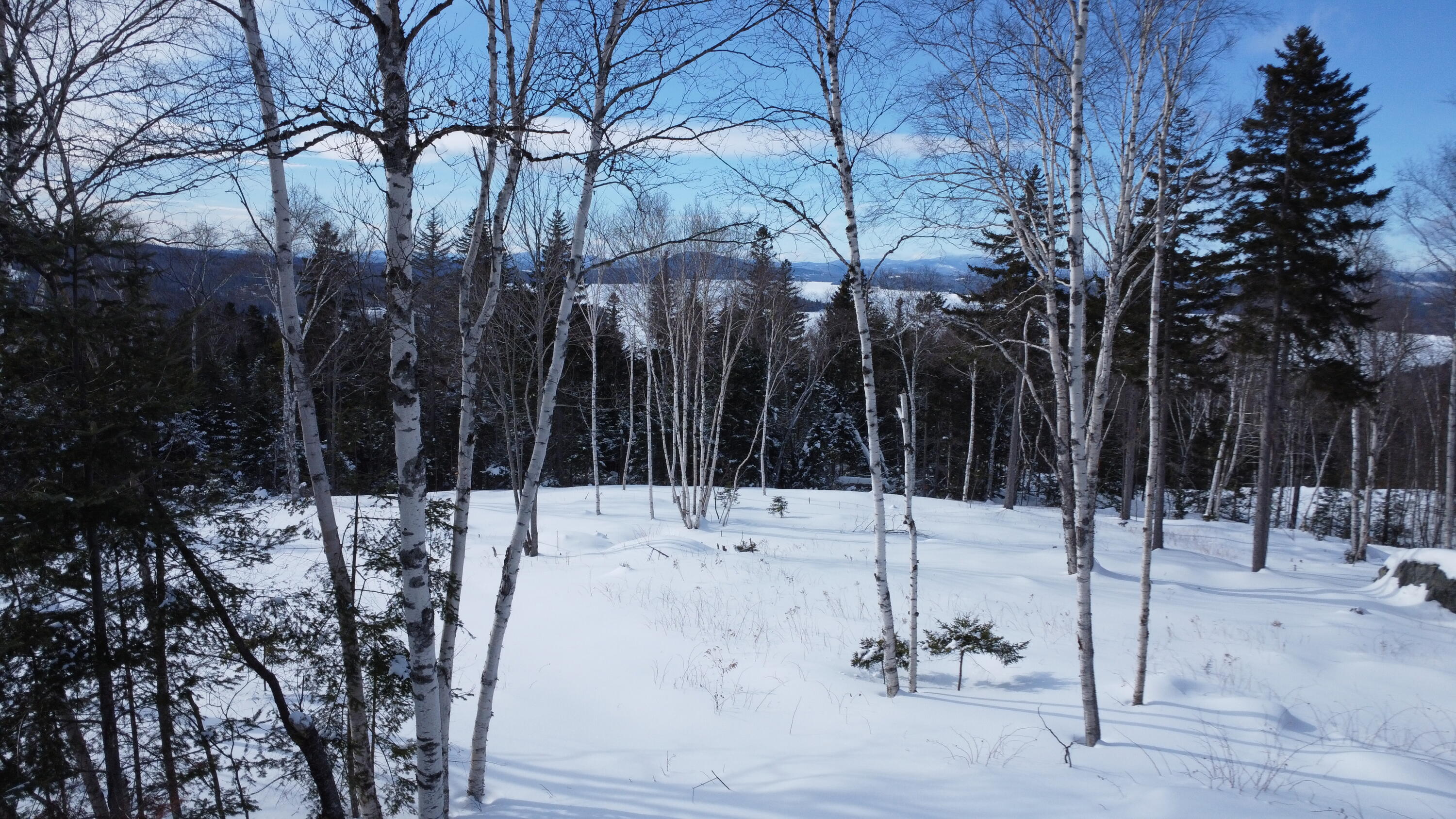 M13/L37 Barbara Lane Sandy River Plt ME 04970