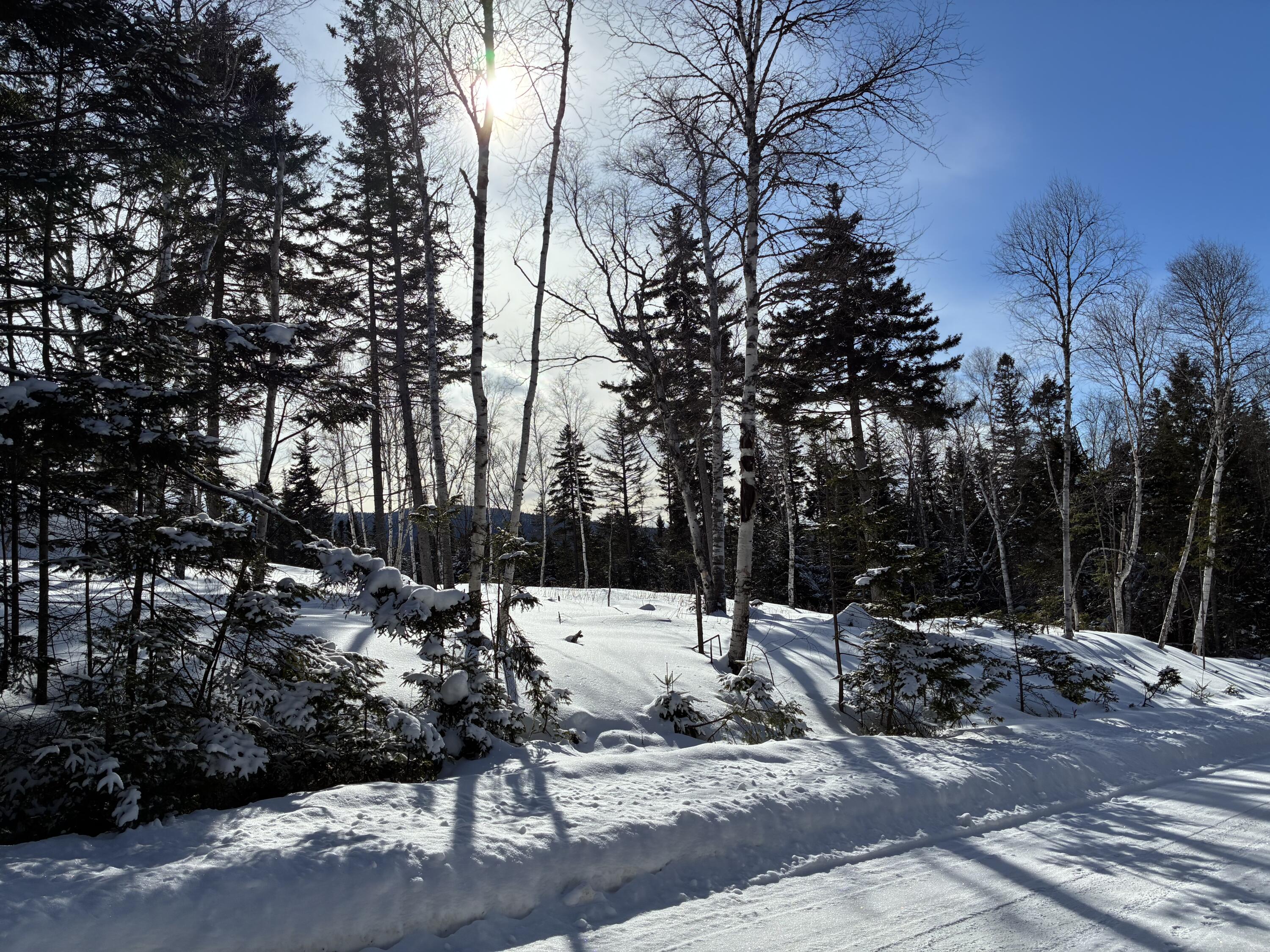 M13/L37 Barbara Lane Sandy River Plt ME 04970