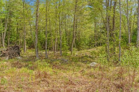 Lot 12 Snowberry Lane Palermo ME 04354