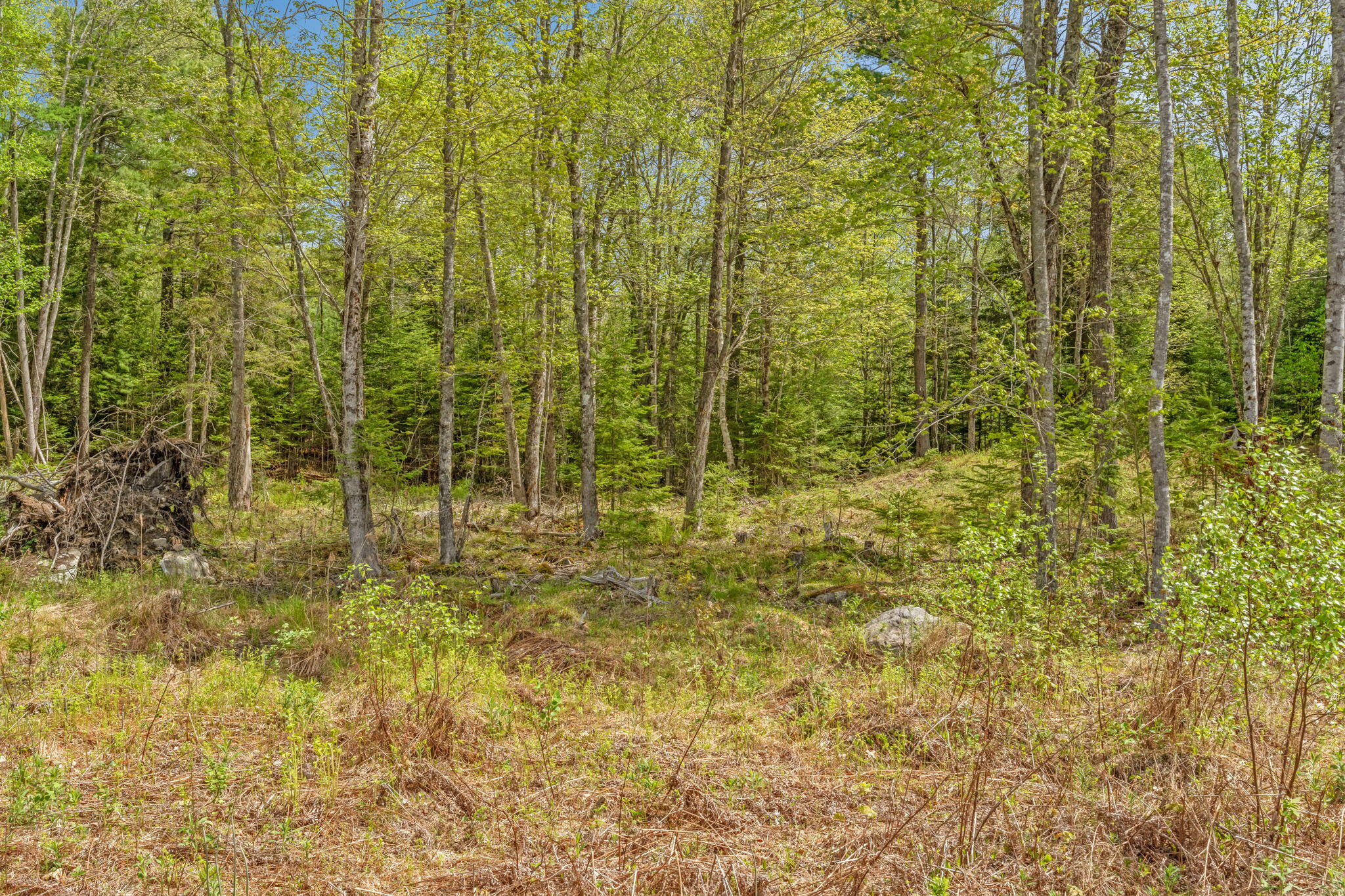 Lot 12 Snowberry Lane Palermo ME 04354