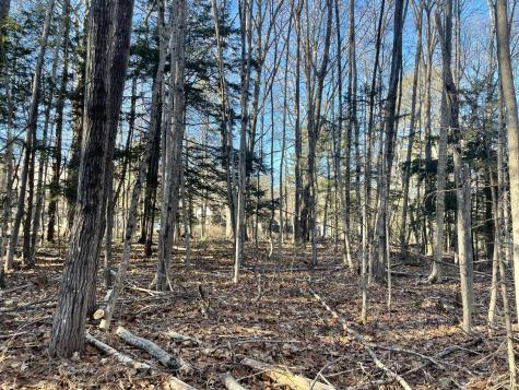 0 Cross Street Manchester ME 04351