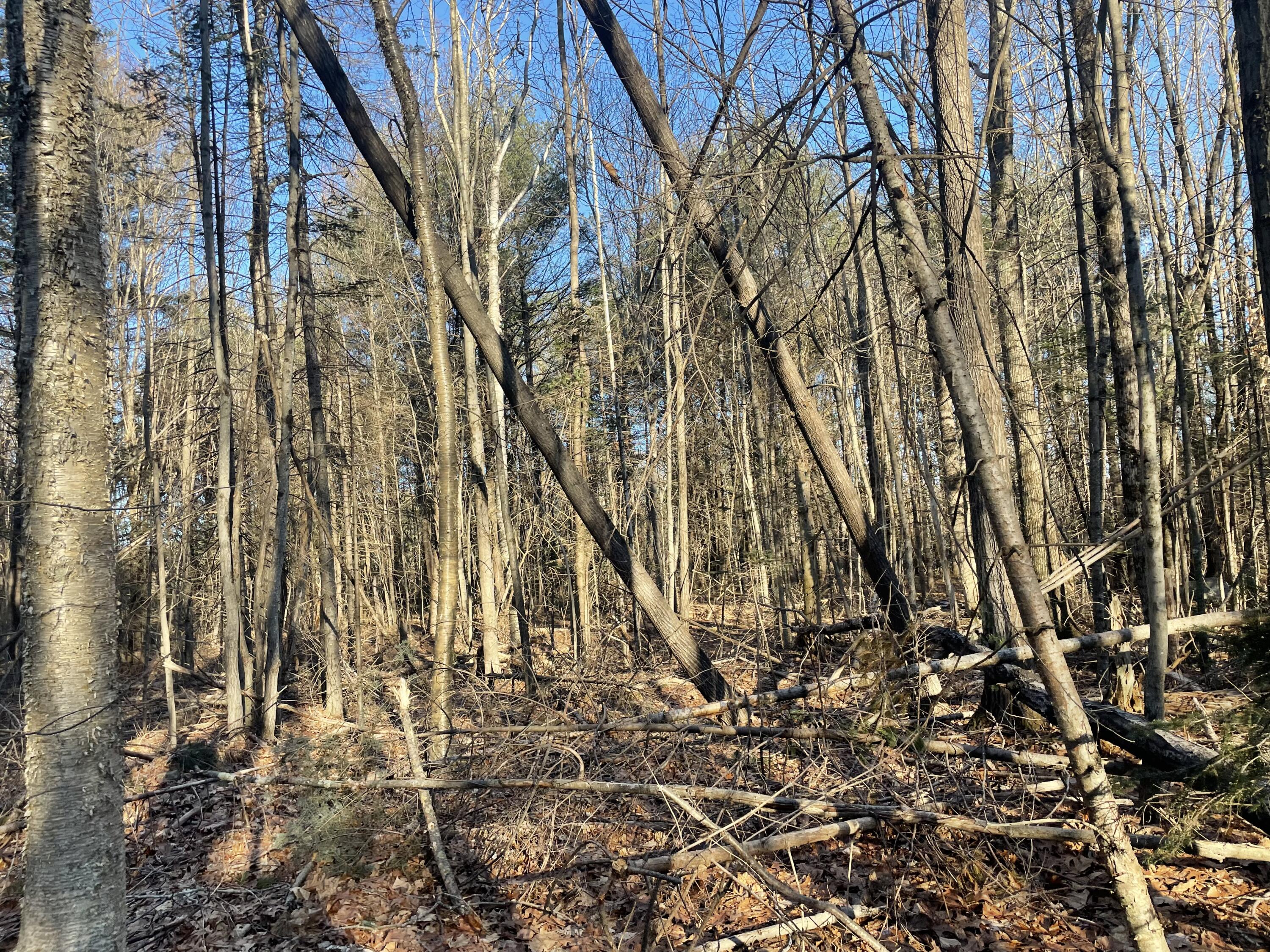 0 Cross Street Manchester ME 04351