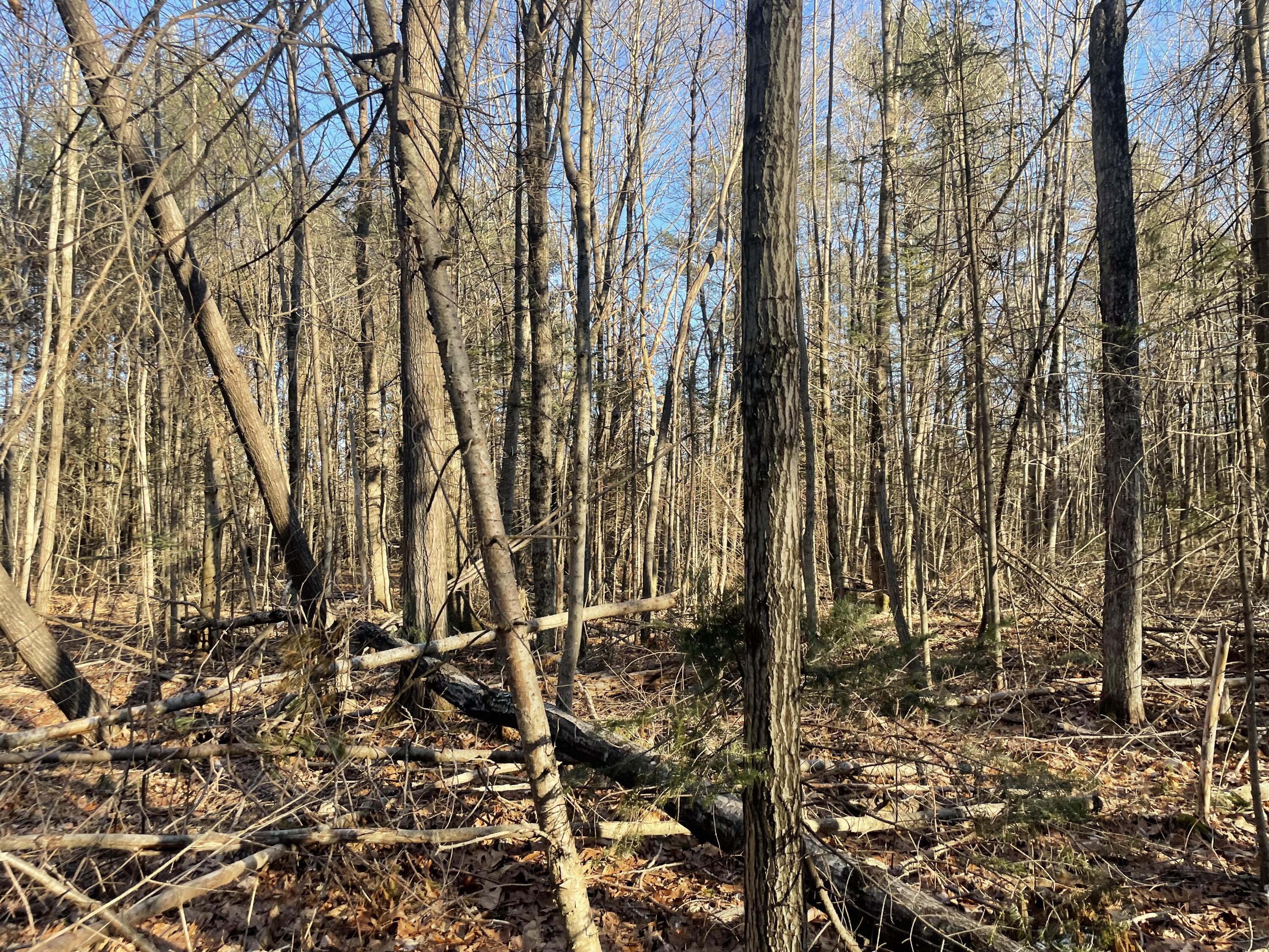 0 Cross Street Manchester ME 04351