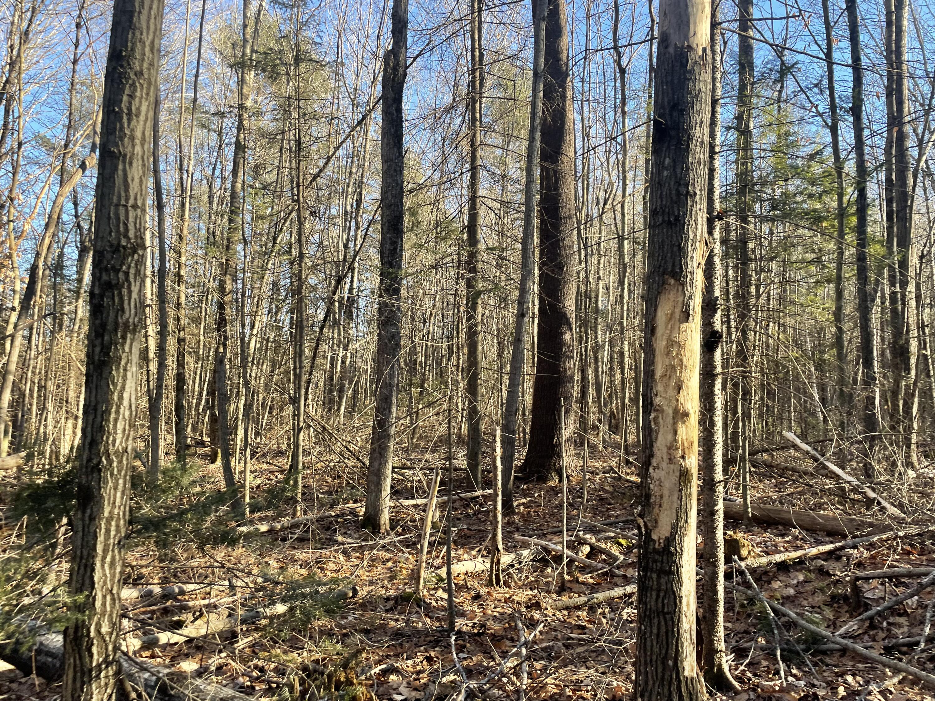 0 Cross Street Manchester ME 04351