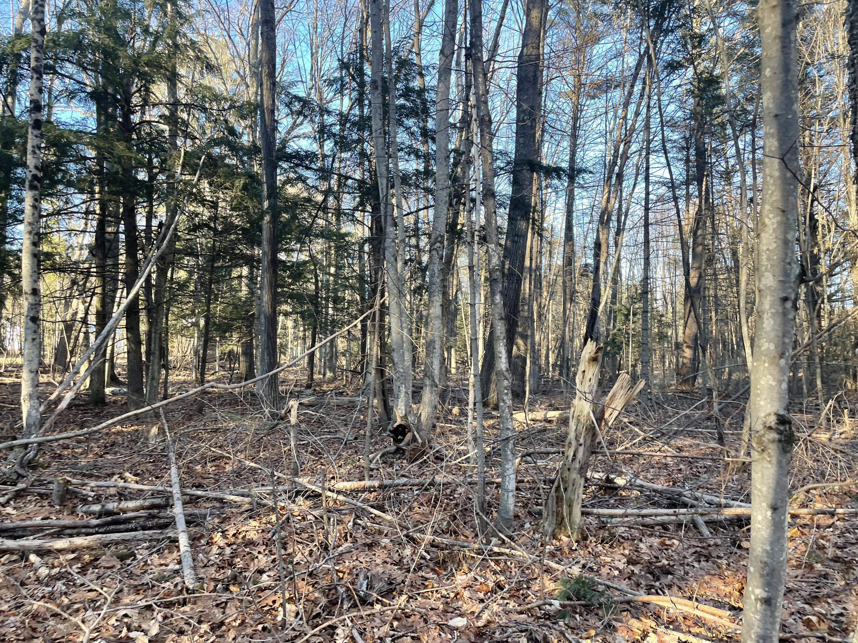 0 Cross Street Manchester ME 04351