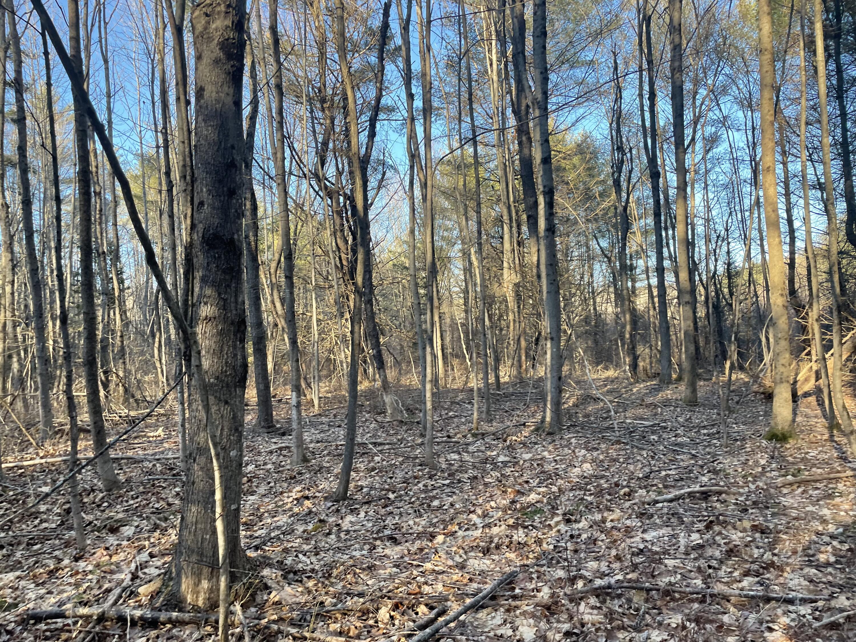 0 Cross Street Manchester ME 04351