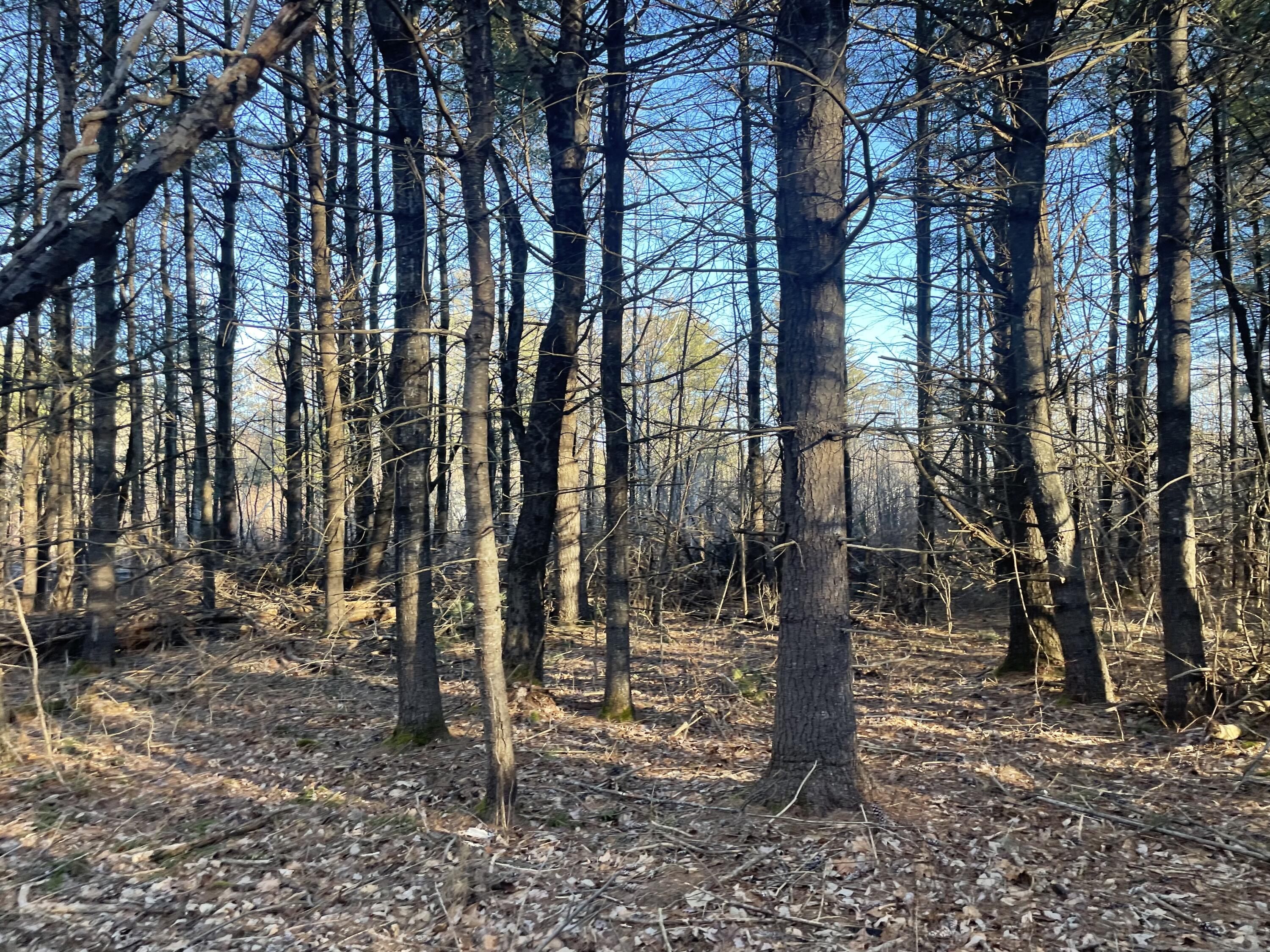 0 Cross Street Manchester ME 04351