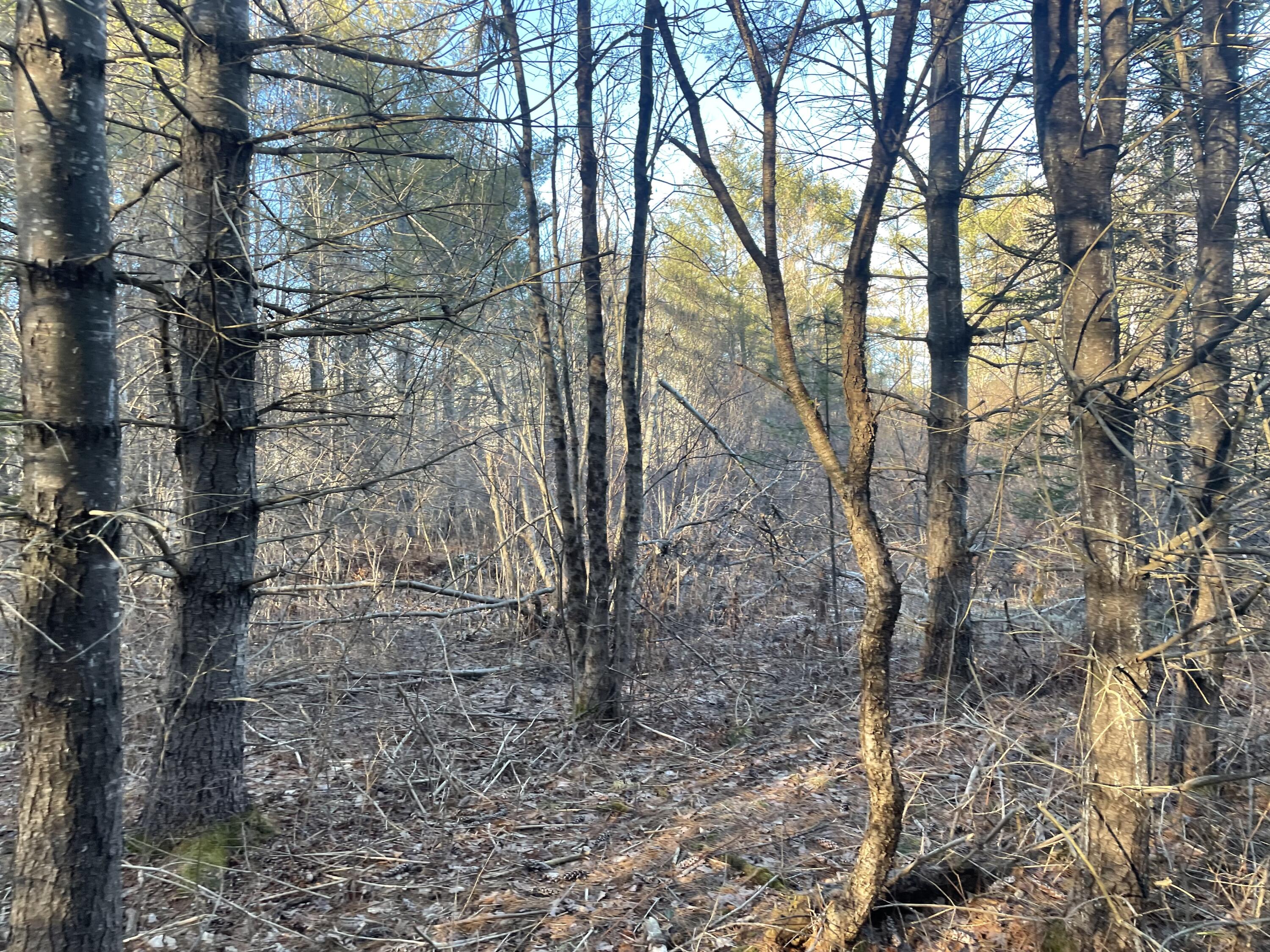 0 Cross Street Manchester ME 04351