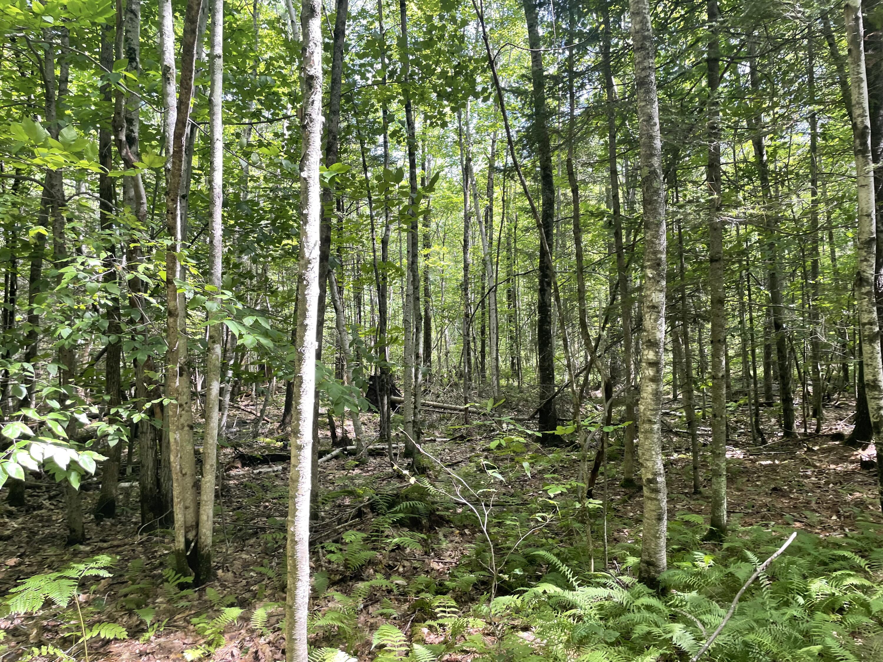 0 Cross Street Manchester ME 04351