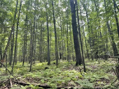 0 Cross Street Manchester ME 04351