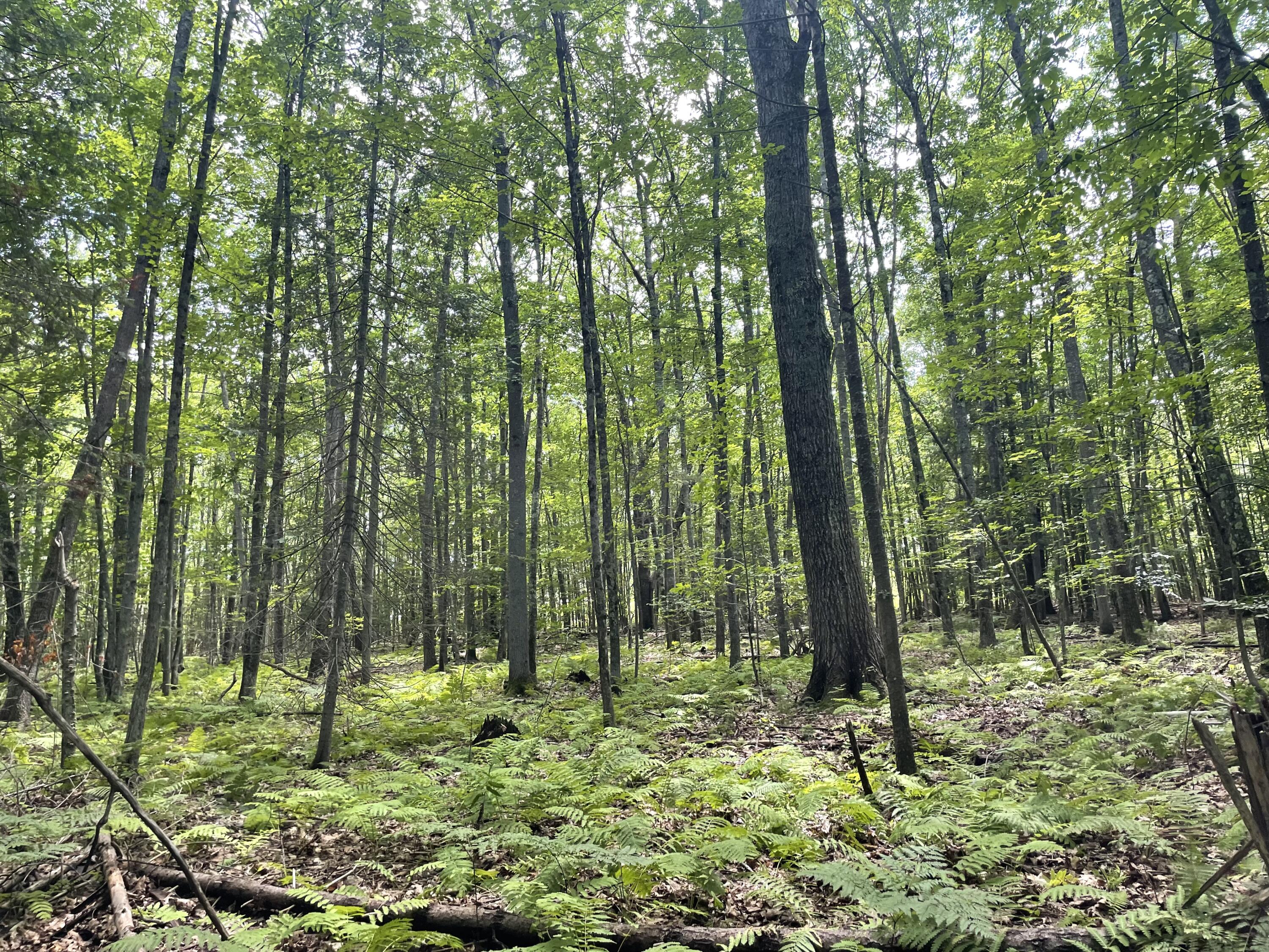 0 Cross Street Manchester ME 04351