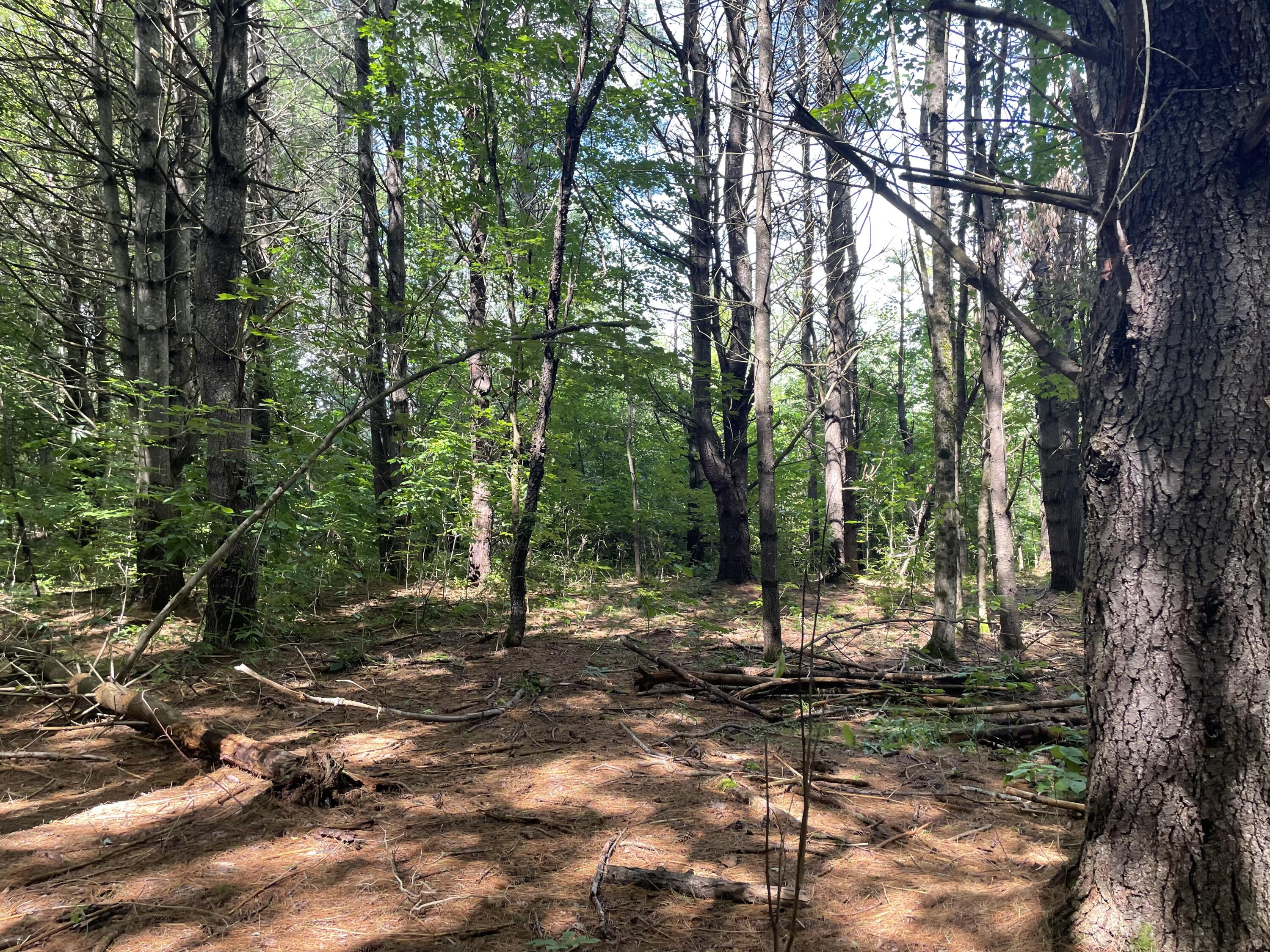 0 Cross Street Manchester ME 04351