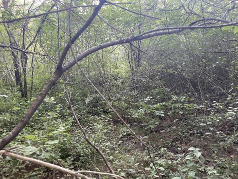 0 Cross Street Manchester ME 04351