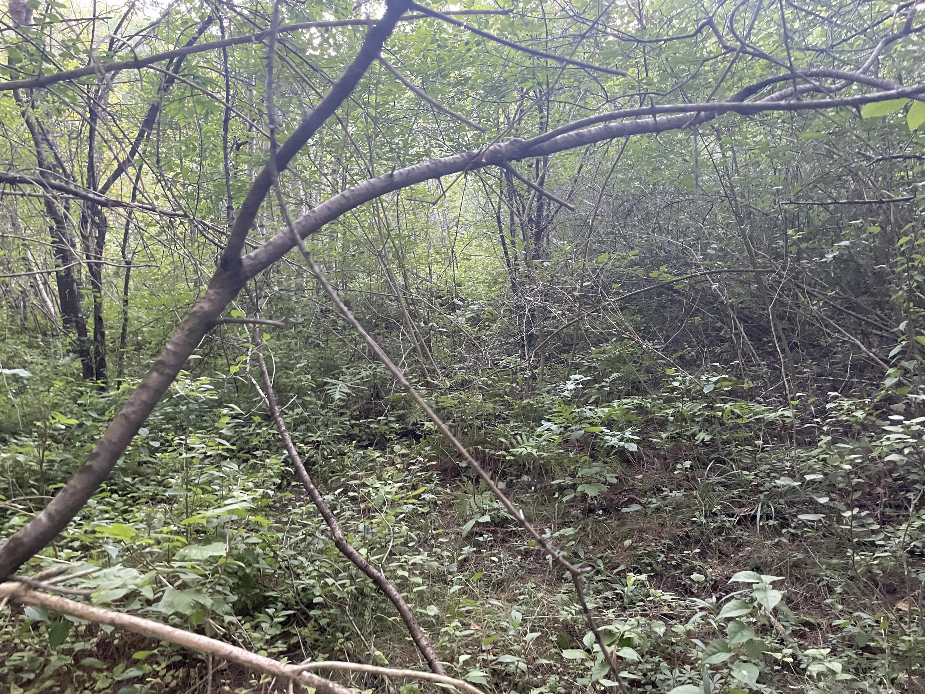 0 Cross Street Manchester ME 04351