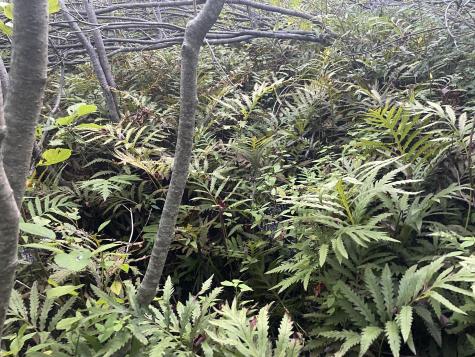 0 Cross Street Manchester ME 04351