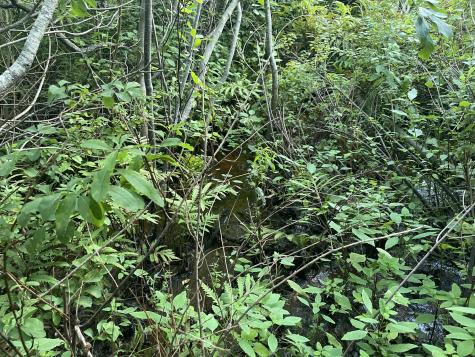 0 Cross Street Manchester ME 04351