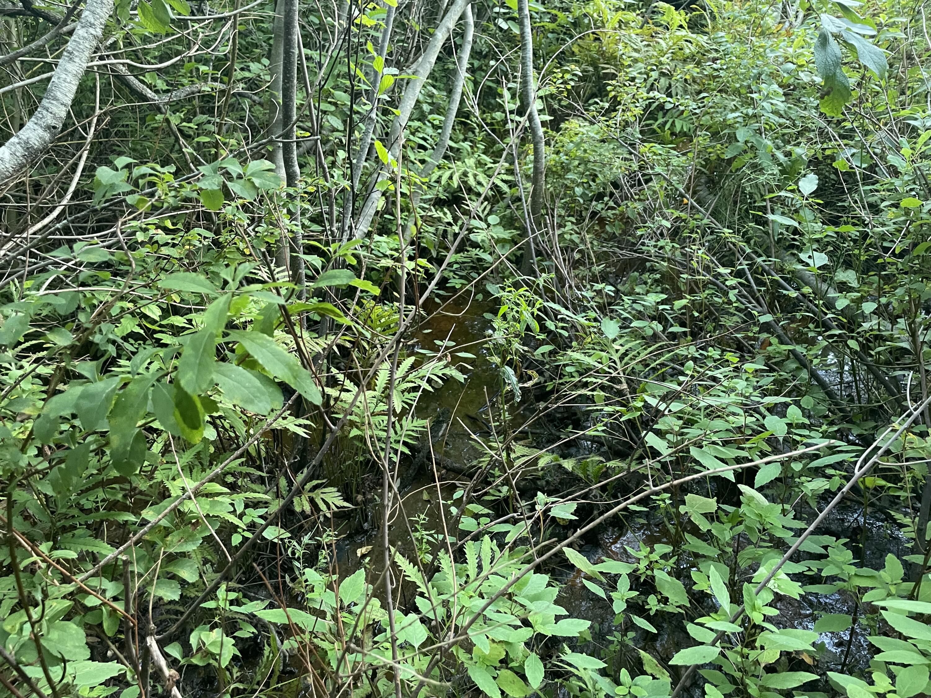 0 Cross Street Manchester ME 04351