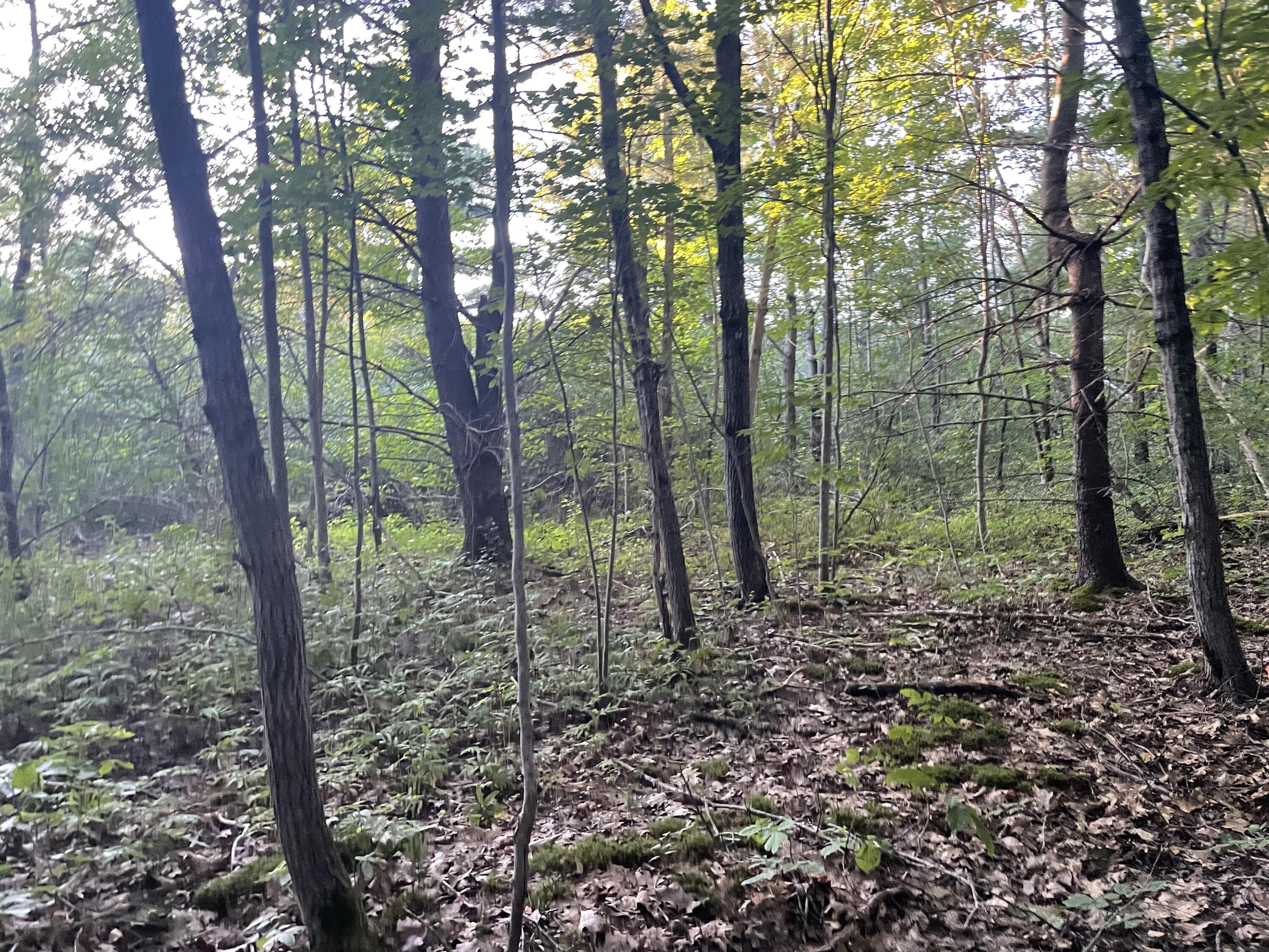 0 Cross Street Manchester ME 04351