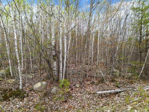 Lot #5 Murdock Place Belgrade ME 04917