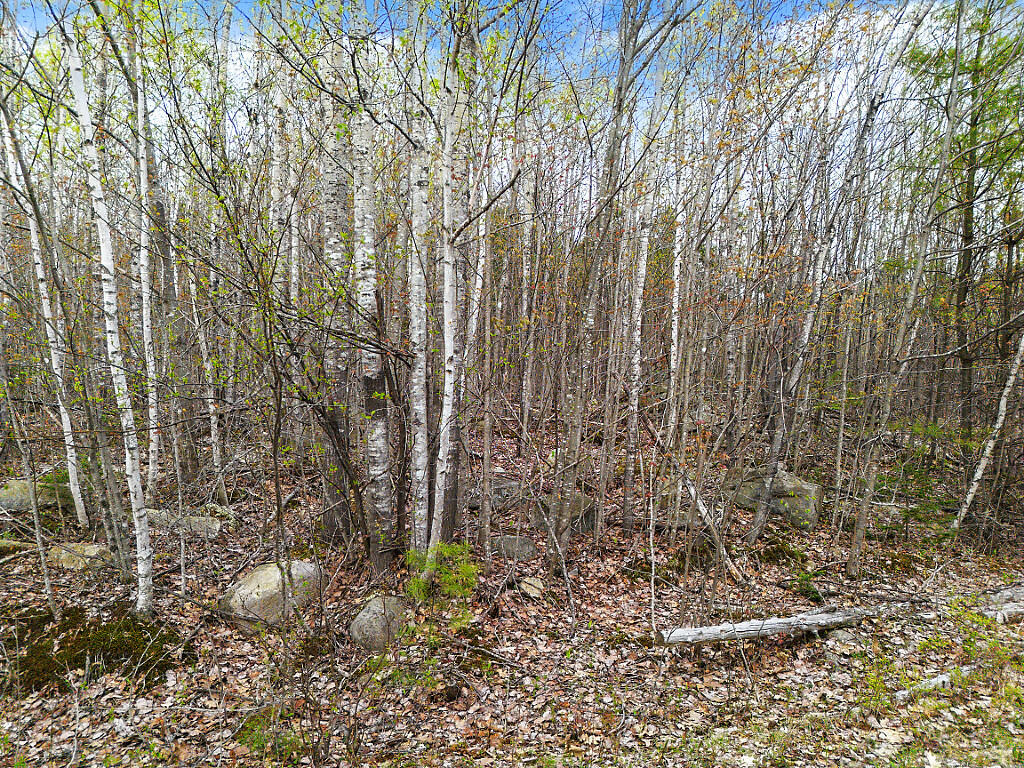 Lot #5 Murdock Place Belgrade ME 04917