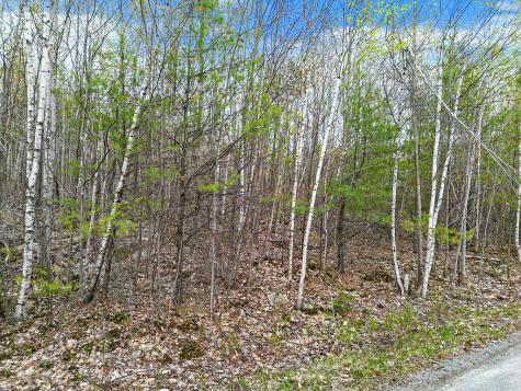 Lot #5 Murdock Place Belgrade ME 04917
